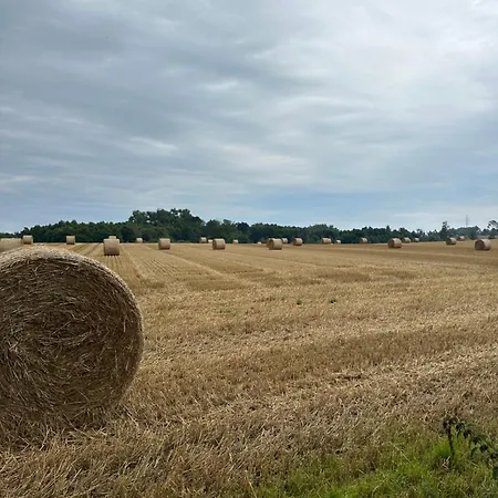 Design Uckermark Mit Riesigem Garten *