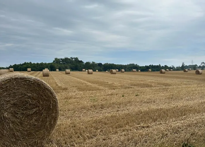 Design Uckermark Mit Riesigem Garten *