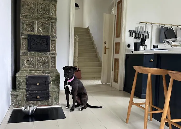 别墅 Design Uckermark Mit Riesigem Garten Ferdinandshof